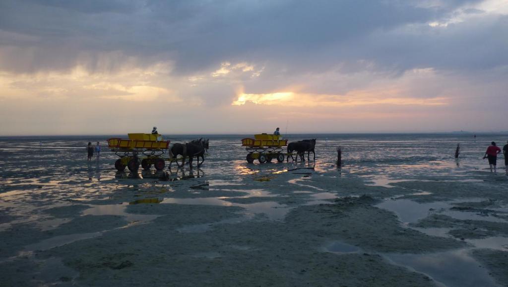 Armarova Ihre Ferienpension Cuxhaven Dış mekan fotoğraf