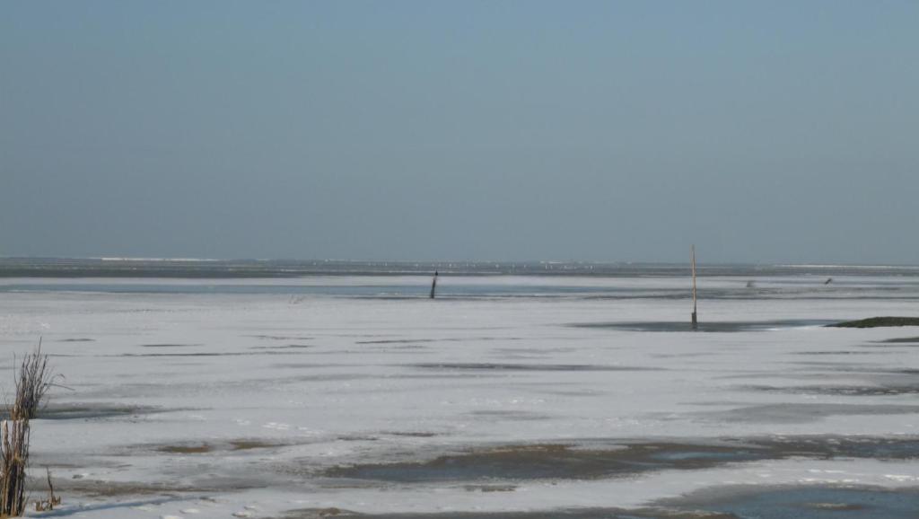 Armarova Ihre Ferienpension Cuxhaven Dış mekan fotoğraf